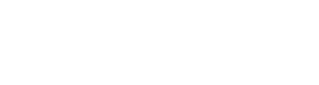 Логотип R.O.C.S.